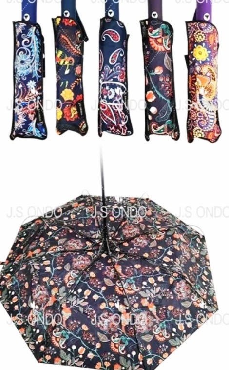 Paraguas-de-moda